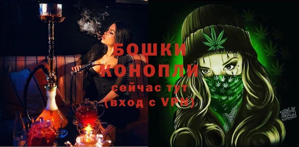 прущий лед Вязьма