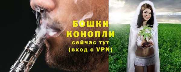 прущий лед Вязьма