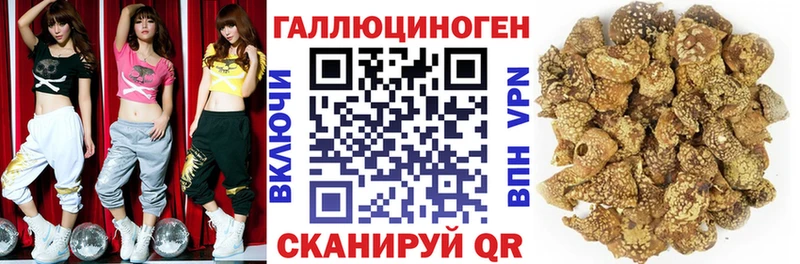 нарко площадка Telegram где продают наркотики мега как зайти Калязин Галлюциногенные грибы MAGIC MUSHROOMS